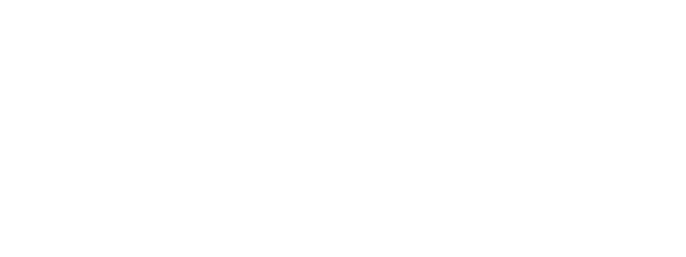 Tommy Hilfiger | Client | LIGANOVA